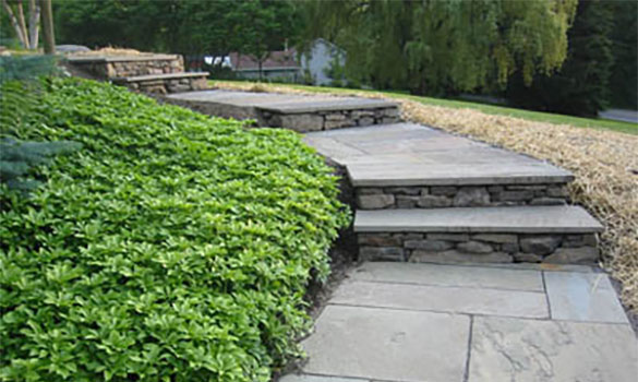 Landscape Design & Construction