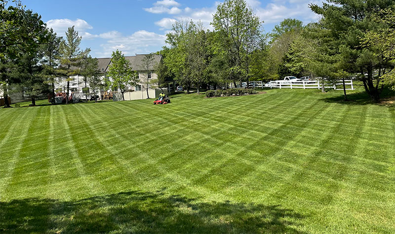 Grounds Maintenance